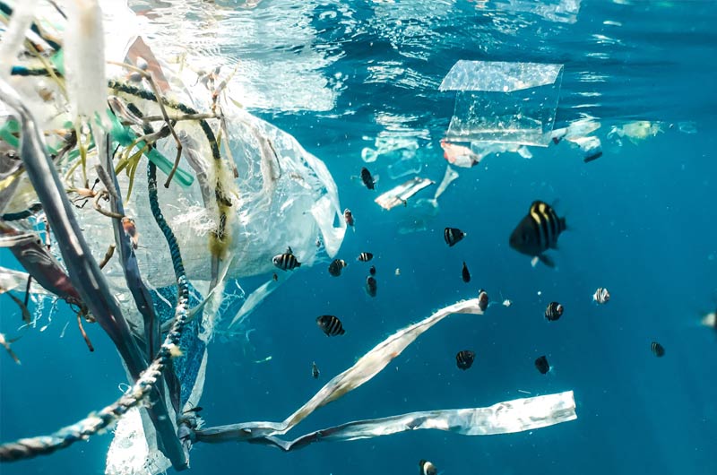 Scienza E Salute: Facciamo Il Punto Sulle Microplastiche